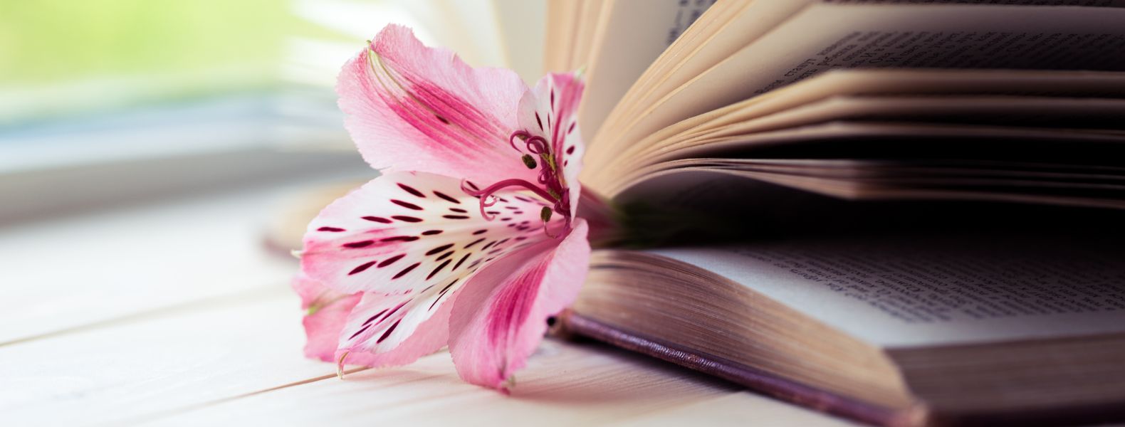 A brown hardcover book laid open on a light wooden table with it's pages fanned and a pink hibuscus flower peeking out the top of the book.