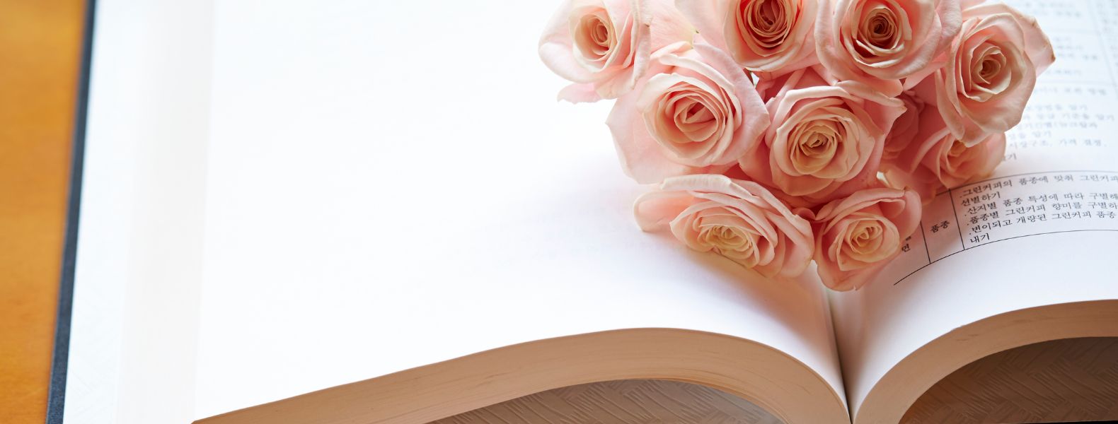 An open book laid on a table, with pink roses lying in the fold of the pages.